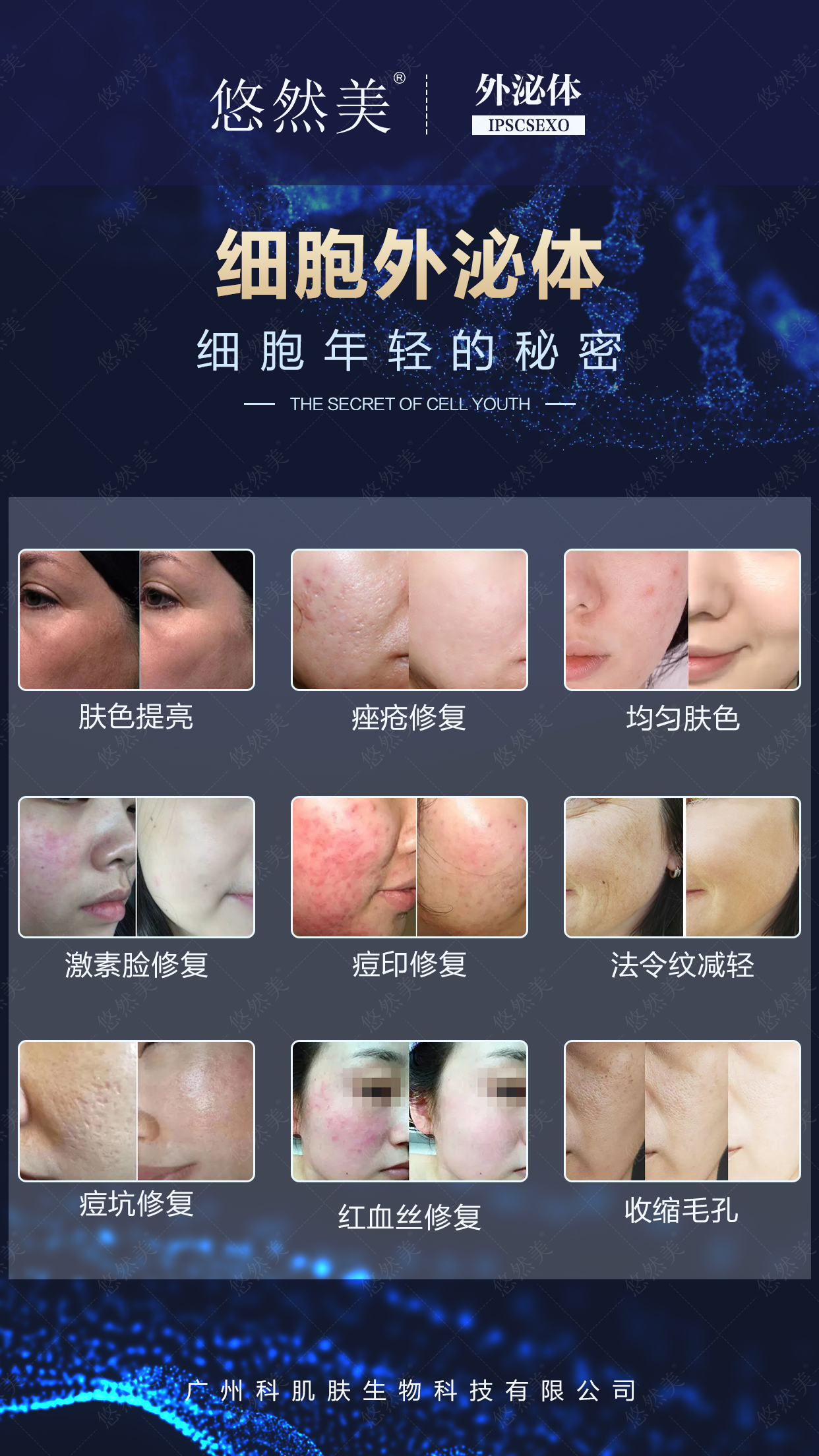悠然美品牌外泌體財富峰會 悠然美品牌外泌體財富峰會