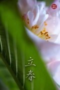 眾志成城，終將迎來春暖花開|抗擊疫情，尚你美正在行動